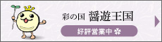 醤遊王国
